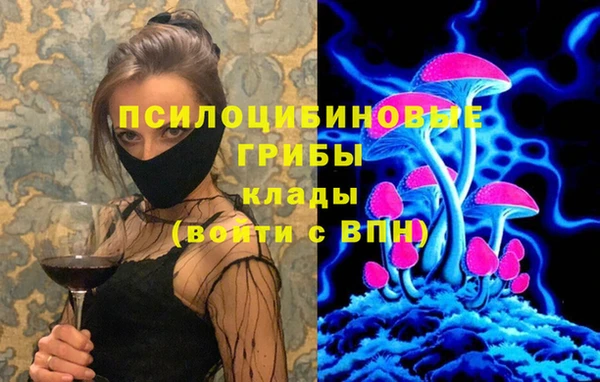 дживик Бугульма